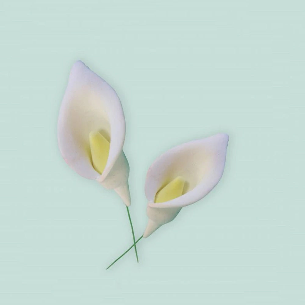 FMM Sugarcraft Flower Cutter & Veiner Set - Arum / Cala Lily
