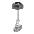 3/8" FPT Globe Style Steam Supply Valve with 5" Stem and Knob