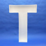Balloon Letter T Mosaic Frame