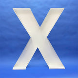 Balloon Letter X Mosaic Frame