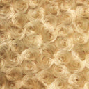 1 Yard Rosebud Minky Fabric 100% Polyester Plush Textured Soft Material for Blankets 60 Inch Width