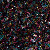 Stretch Mesh Sequin Fabric