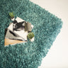 Hand-Tufted Luxe Shag Plush Rug Shag Rugs - Multicolored Plush Shag, 3" Pile (2' X 3')