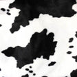 Black White Velboa Fur Cow Big Animal Short Pile Fabric,