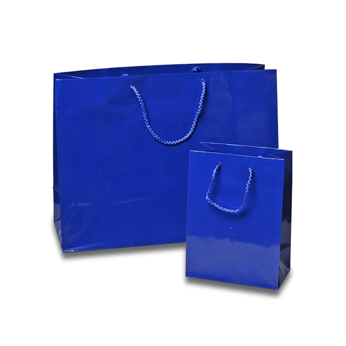 16'' x 6'' x 12'' Glossy Euro Totes for Boutique Style Gifting