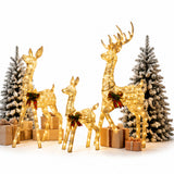 Lighted Reindeer Set Christmas Yard Decor Warm White LED