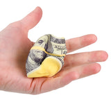 Squish Money Soft Slow-Rising Foam (1 DZ)