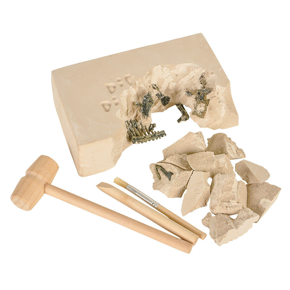 Dinosaur Fossil Excavation Kit