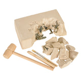 Dinosaur Fossil Excavation Kit
