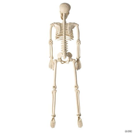 Posable Skeleton Halloween Decoration with Bright Tattoo Design, showing a detailed skeletal bone design