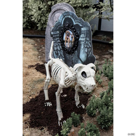 RADYAN Buster Bonez Dog Skeleton Plastic Halloween Decoration for Yard Decor shown in a clear product image