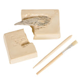Dinosaur Claw Excavation Kit