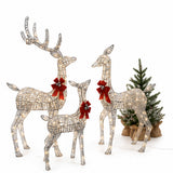 Champagne Wicker Reindeer Set with Warm White LED Lights