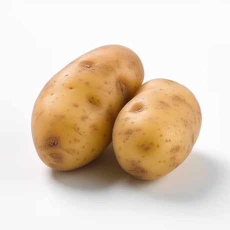 Radyan Fresh Idaho Potatoes – Premium Quality & Taste