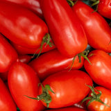 San Marzano Tomato Seeds 15 Count Italian Sauce Tomato Perfect for Canning and Garden Gifts