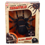 Remote Controlled Tarantula 10"