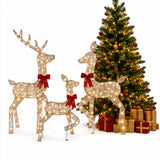 3-Piece Lighted Reindeer Family Outdoor Christmas Set
