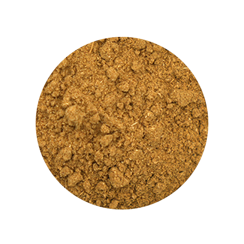 Ground Cumin 1 Pound