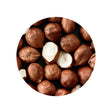Raw Hazelnuts 1 Pound