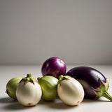Round Eggplant Mix Seeds Three Color Variety Heirloom Non GMO Garden Collection