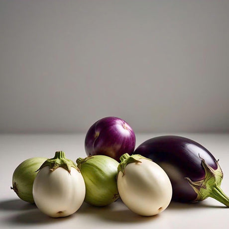 Round Eggplant Mix Seeds Three Color Variety Heirloom Non GMO Garden Collection