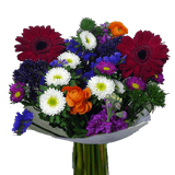 Delight Fresh Flower Bouquets Bulk Floral Pack for Events & Gifts
