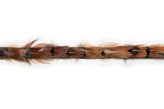 Feather Trim Thin Decorative 1 Yard