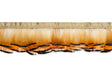 Feather Trim Fire Red Decorative