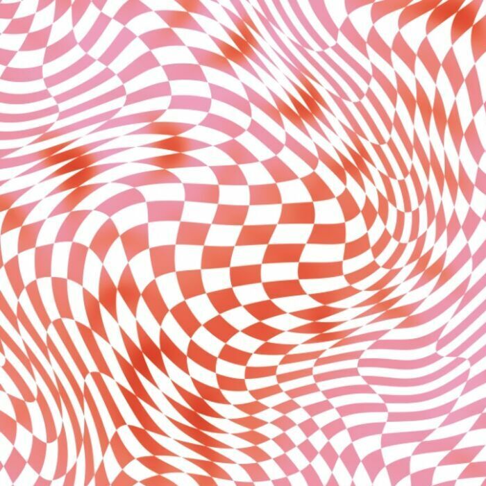 Printed Spandex Geometric Vesparelly Activewear Fabric
