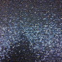 Mini Disc All Over Sequin Fabric