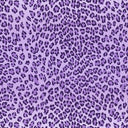 Printed Spandex Mini Leo Ombre Horiz