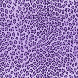 Printed Spandex Mini Leo Ombre Horiz