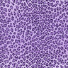 Printed Spandex Mini Leo Ombre Horiz