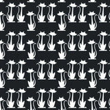 Printed Spandex Cat Xsmall