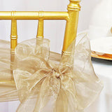10 Pieces Champagne Organza Chair Sashes 8"x108" Sheer Elegant Chair Decor for Weddings & Events