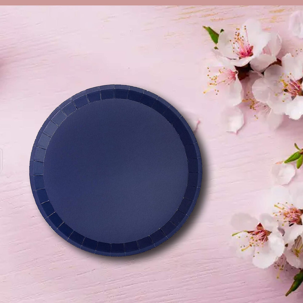 10 Count Navy Large Paper Plates 9.25 Inch Classic Round Plates for Parties Meals and Events