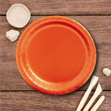 24 Count Orange Color Paper Dessert Plates for Birthday Wedding Party 7"