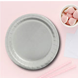 24 Count Metallic Silver Paper Plates 7" Round Dessert Plates for Stylish Parties