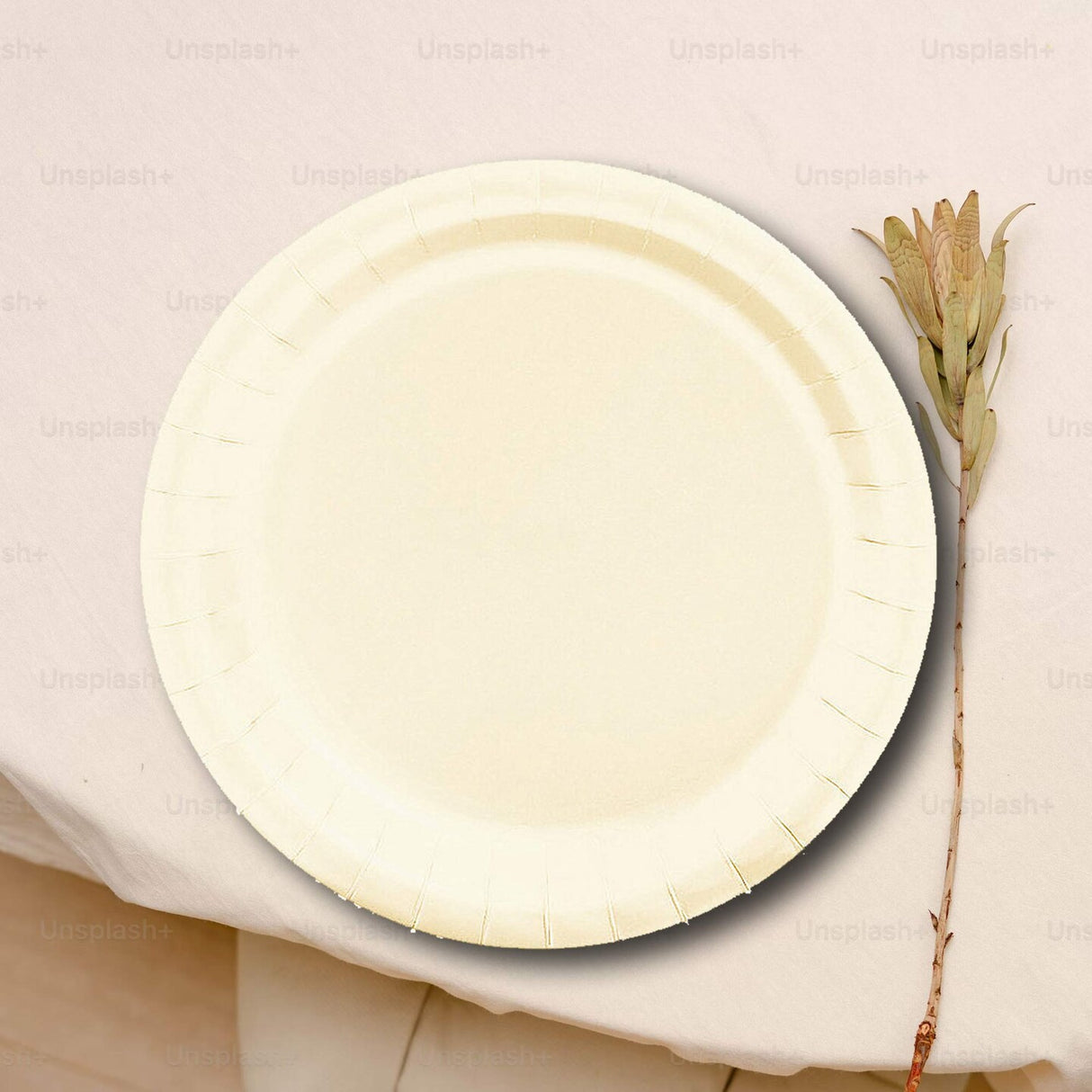 24 Count Ivory Color Round Paper Plates for Elegant Desserts 7"