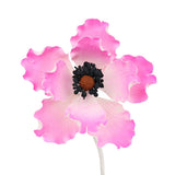 O'Creme Pink Anemone Gumpaste Flowers, Set of 6