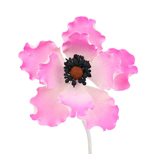 O'Creme Pink Anemone Gumpaste Flowers, Set of 6