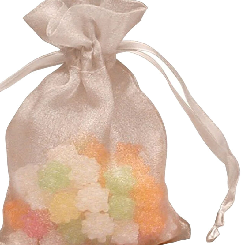 Elegant Crystallized Gift Bag 4" x 6"