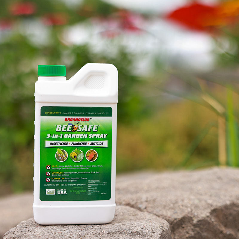 Bee Safe 3 In 1