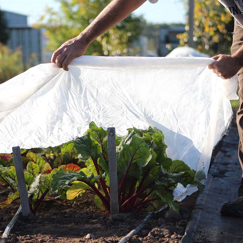 Row Cover Agribon AG-19 10' X 250'