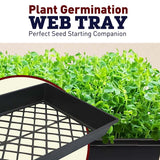 Black Plastic Web Tray 11x21