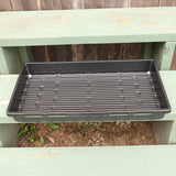 Tray No Drainage 11 X 21