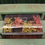 Clear Plastic Dome 4" Vented