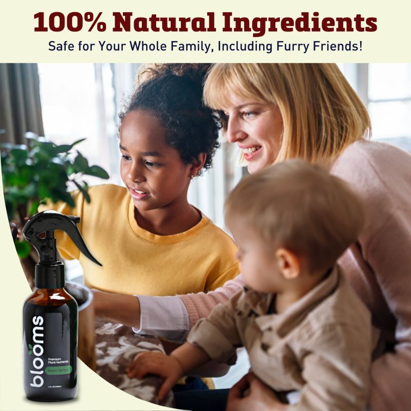 Blooms Super Sprout 10-3-3 Fertilizer