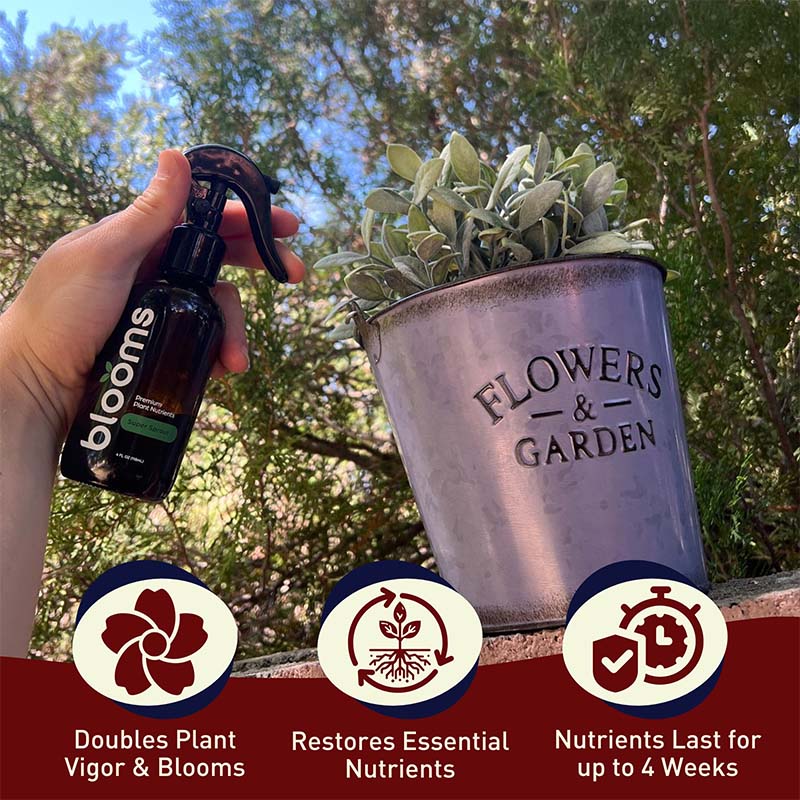 Blooms Super Sprout 10-3-3 Fertilizer