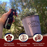 Blooms Super Sprout 10-3-3 Fertilizer